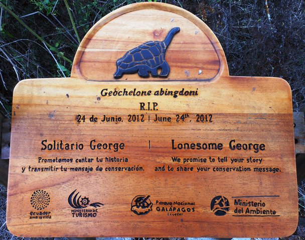 Tribute to Lonesome George who died last year